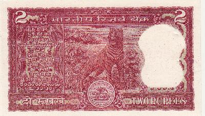 Beschrijving achterzijde: TIGER